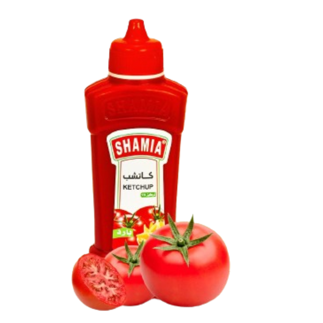 شاميه كاتشب 500جرام*12 بزازه